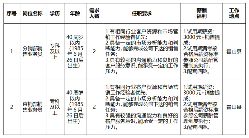 安徽大别山乡村振兴产业发展有限公司2025年招聘临时工作人员公告（二）