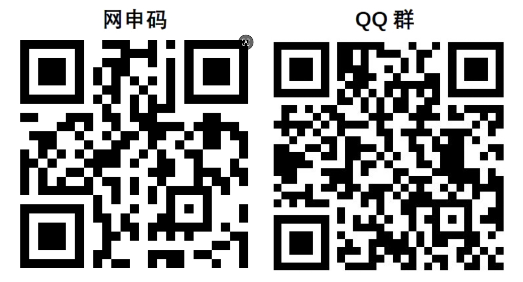 网申通道.jpg